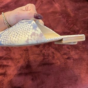 42 Gold Snake Slides